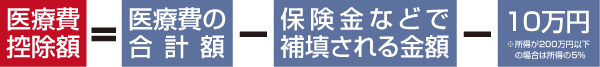 医療費の控除金額の詳細