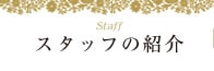 スタッフの紹介