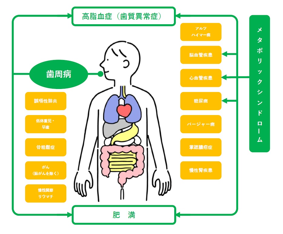 人体画像