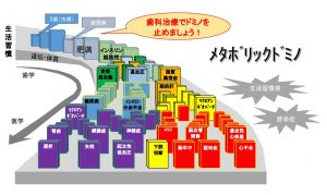 メタボリックドミノ